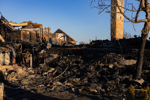 Reliable Fire Damage Removal contractor in Florida, FL by Fire Damage Doption